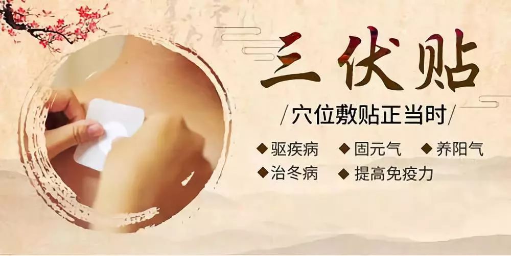 關(guān)于三伏貼，你了解多少呢？